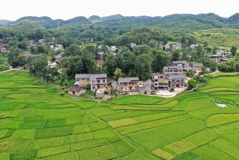 美麗鄉村 美麗鄉村